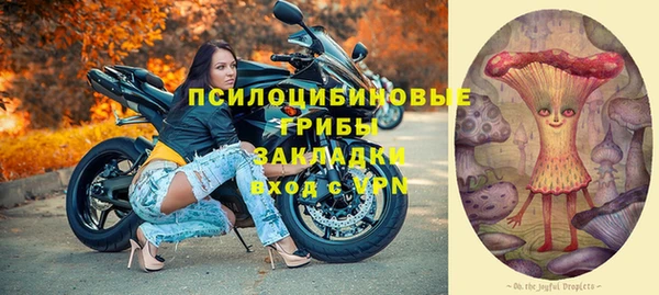 хмурый Кодинск
