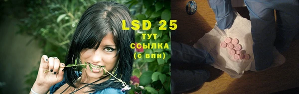 хмурый Кодинск