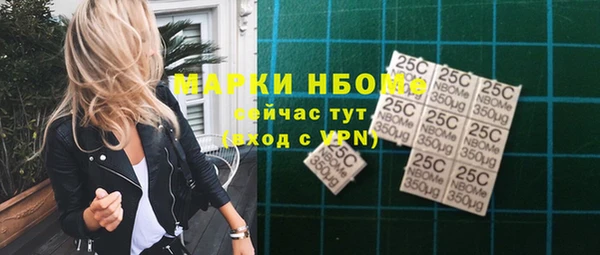 хмурый Кодинск