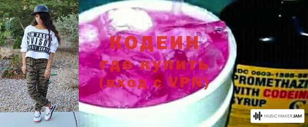 хмурый Кодинск
