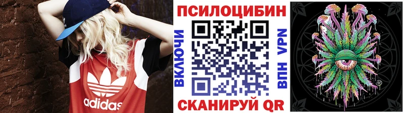 Купить  Дигора  Псилоцибиновые грибы Magic Shrooms 